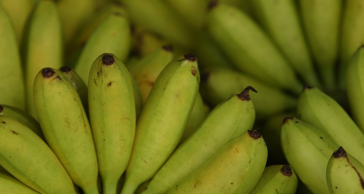 La banana es conocida como plátano en algunas regiones.