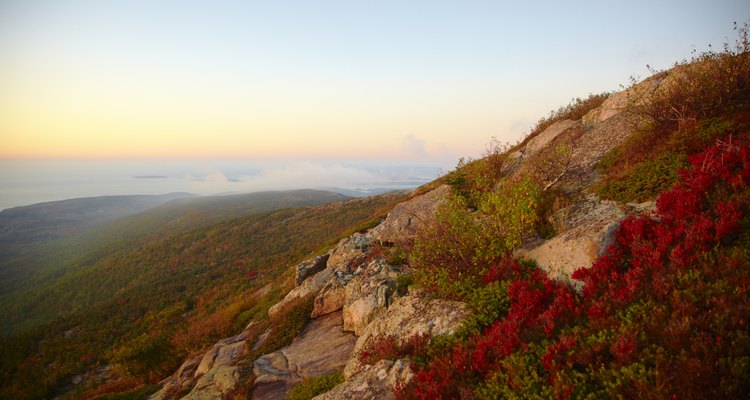 Greeting card companies often use landscape photographs for their cards.