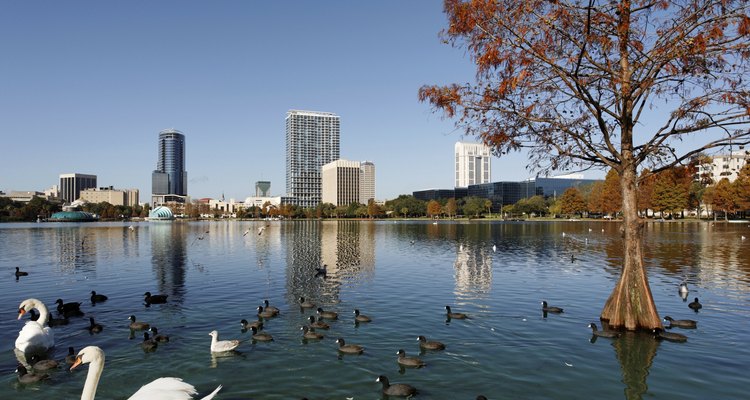 Orlando es un destino de diversión para familias y parejas por igual.