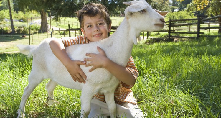 Visitar a una granja puede ayudar a los niños a hacer conexiones con sus comunidades.
