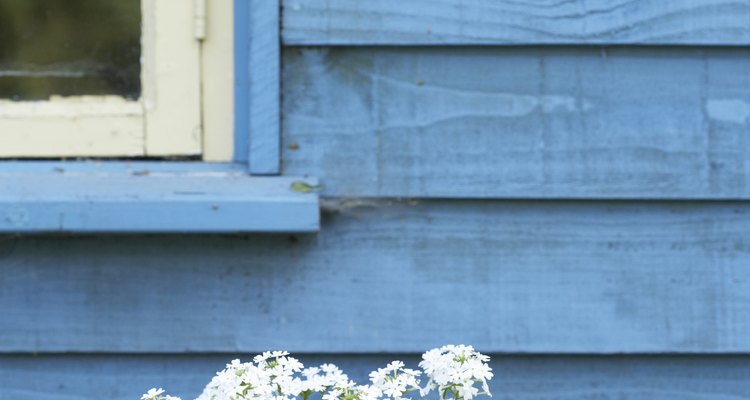 Weatherboards can be painted in a variety of colours.