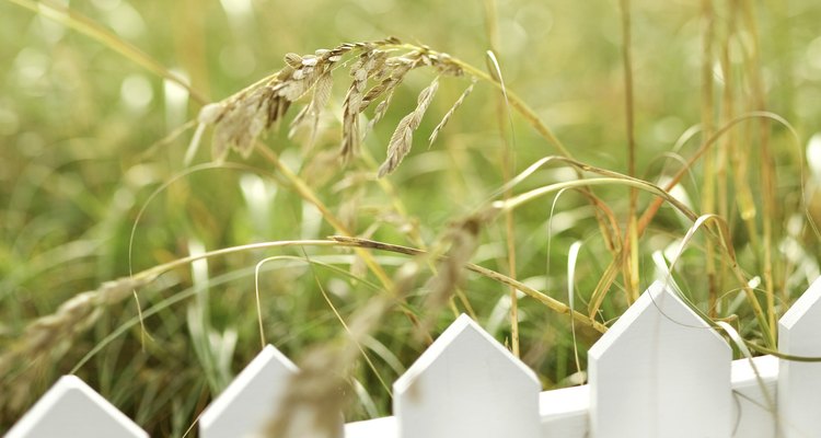 Picket fences are one option for your lawn.