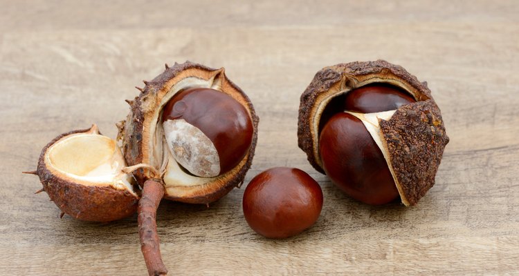 chestnuts lying on wood