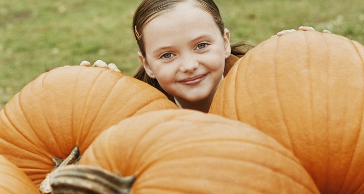 El hongo blanco que ves crecer sobre las plantas de calabaza es el erysiphe cichoracearum, un oídio.