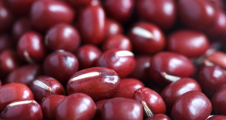 Dry red adzuki beans, macro, selective focus