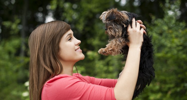 Mujer sosteniendo a un cachorro