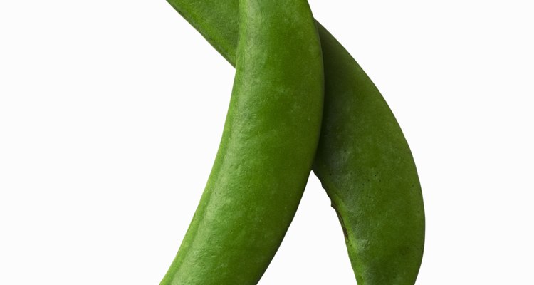 There is no need to discard any part of the mangetout, except for any strings or the ends.