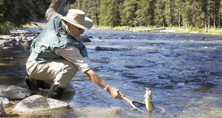 Anda de pesca a Lake Dillon.
