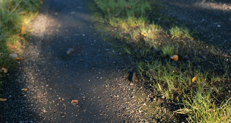 Dead rabbits need to be disposed of properly.
