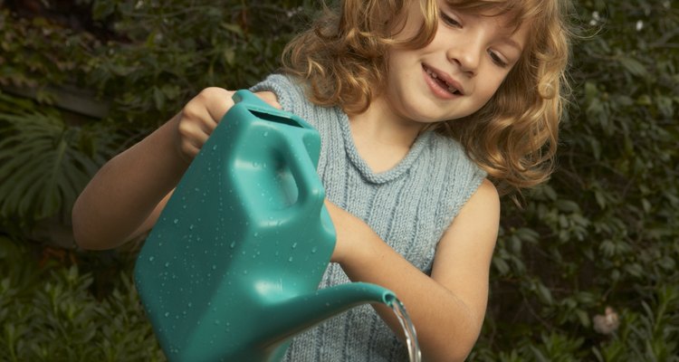 Las palomas y otras aves apreciarán las fuentes de agua en tu jardín.