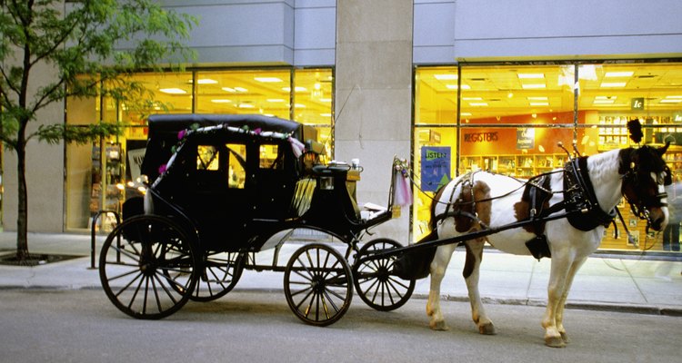 Arriving in a horse-drawn carriage will make her feel like a princess.