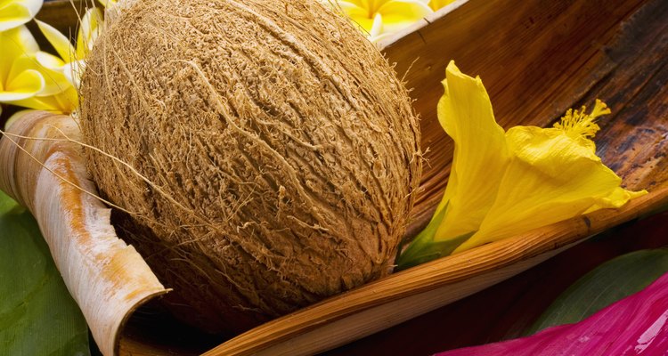 Studio shot of a coconut with flowers.