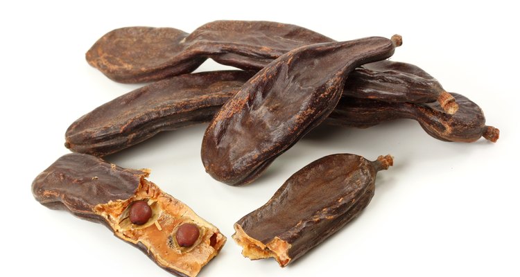 Ripe carob pods or St. John's bread