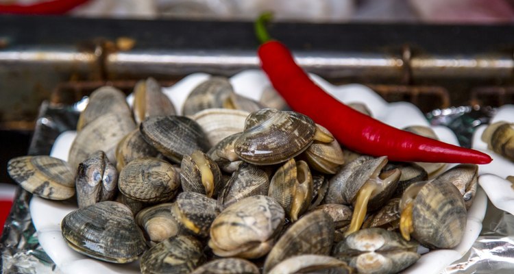 fresh clams preparing for cooking