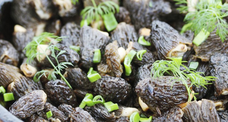 morels and onions