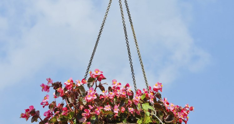 Not knowing about your mum's new flowers, when your partner does might be a problem.