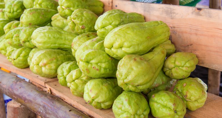 Bitter gourd or Chayote on wood in farms of agriculturist