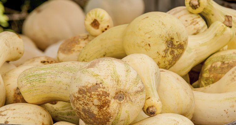 display of fresh yellow squash at the market