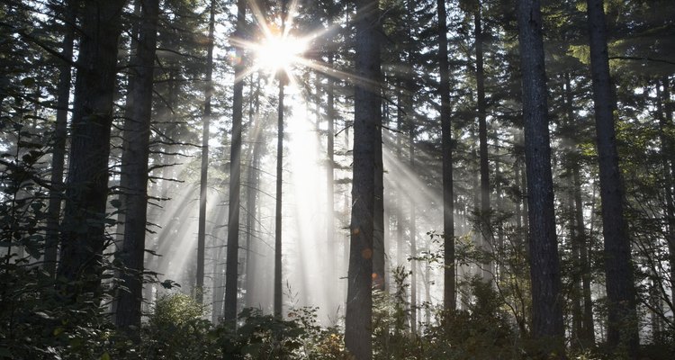 Sunny days are an ideal time for kids to get outdoors and have some fun.