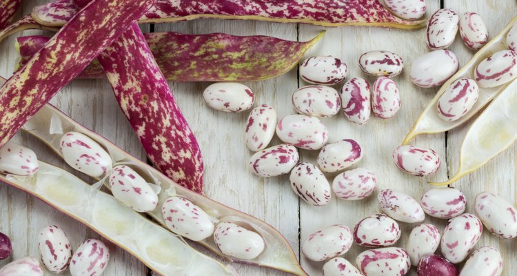 Borlotti Beans