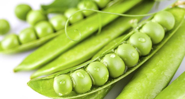 Pods of green peas with drops on white background