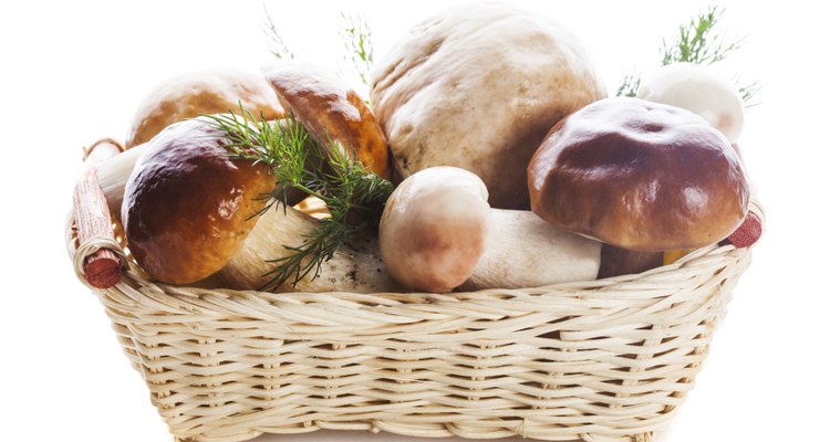 Ceps in the basket
