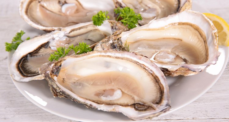 fresh oyster