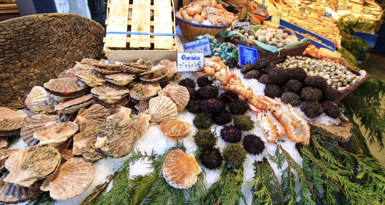Sea urchins and scallops exposed for sale