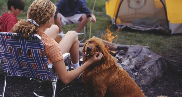 Mother and two sons (13-14) (10-11) sitting at campsite, woman stroking dog