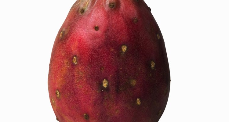 A pitaia é o fruto da planta noturna Cereus