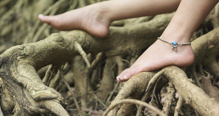 Woman's Bare Feet On Roots