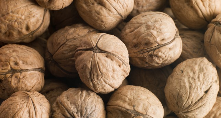 Foods that can increase progesterone