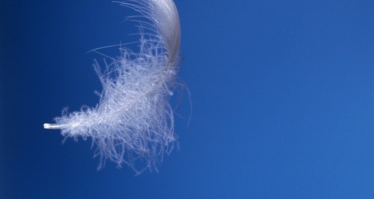feather against blue sky
