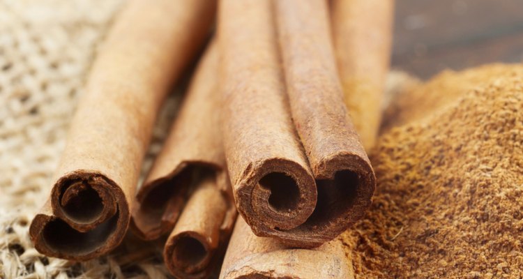 Cinnamon sticks and  powder in scoop