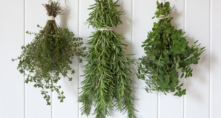 Fresh Herbs Hanging