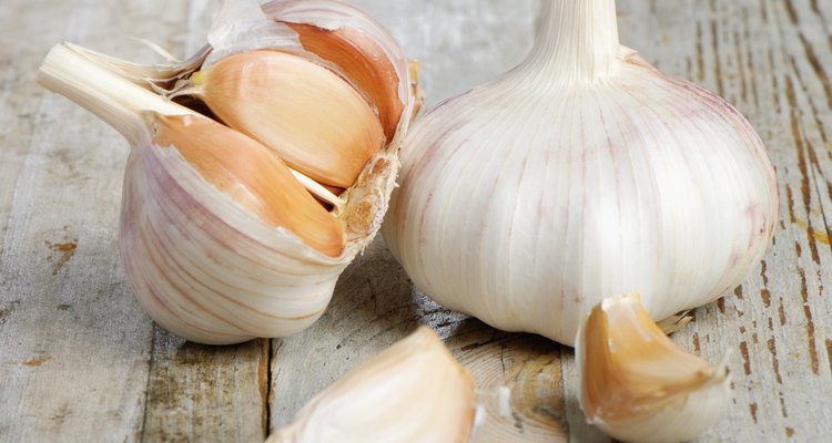 Bulbos y dientes de ajo.