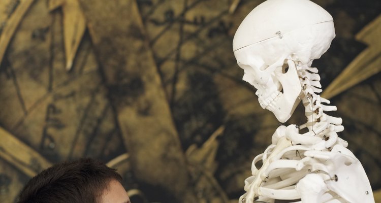 Los museos complementan el aprendizaje infantil.