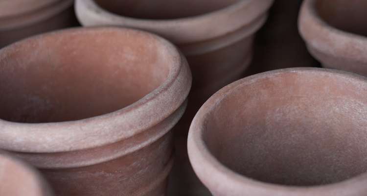Close-up of flower pots