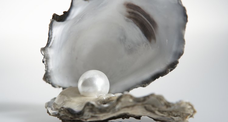 As ostras são famosas por suas pérolas naturais