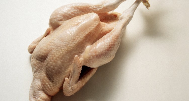 Escaldar los pollos antes del eviscerado facilita la tarea de quitarles las plumas.