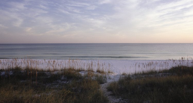 Muchos campamentos en Florida le permiten a los acampantes instalarse cerca del océano Atlántico.