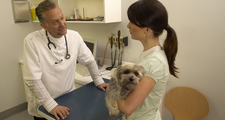 Mujer consultando a un veterinario.