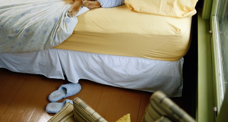 Há diversas formas de fazer um cachorro dormir mais tarde