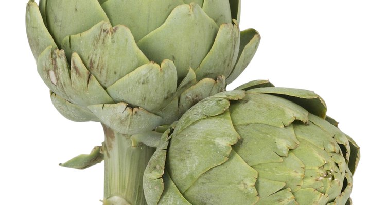 Las hojas de alcachofa son en realidad bractas que rodean la estructura interior de la flor.
