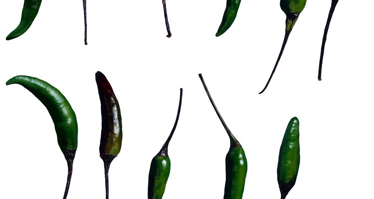 A pimenta dedo de moça é uma das mais ardidas em todo o mundo