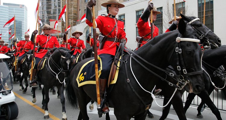 Algunos alguaciles  de la Real Policía Montada montan a caballo como parte de sus funciones.