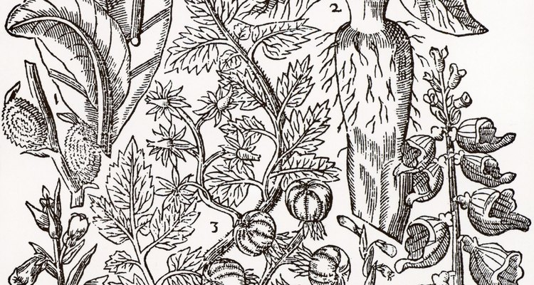 High-contrast images are best for gum Arabic transfer prints.