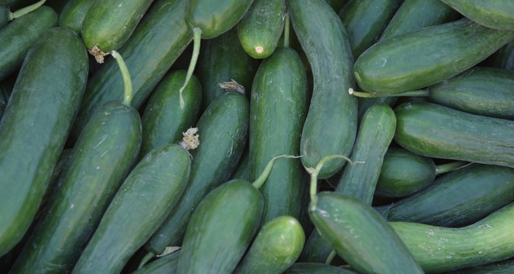 Las proporciones de los nutrientes del pepino pueden variar según el tipo y la cantidad de la verdura, además de otros factores que puedan intervenir en la modificación de sus nutrientes.