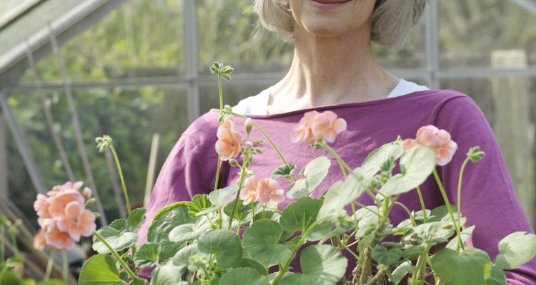 El material para techos de patios de policarbonato se usa con frecuencia en invernaderos o áreas de patio con abundantes plantas.