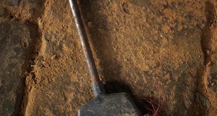 Pisos de terra batida podem ser feitos pelos próprios donos do imóvel